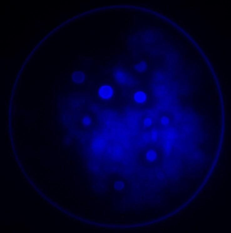 这个古神我认识无防盗