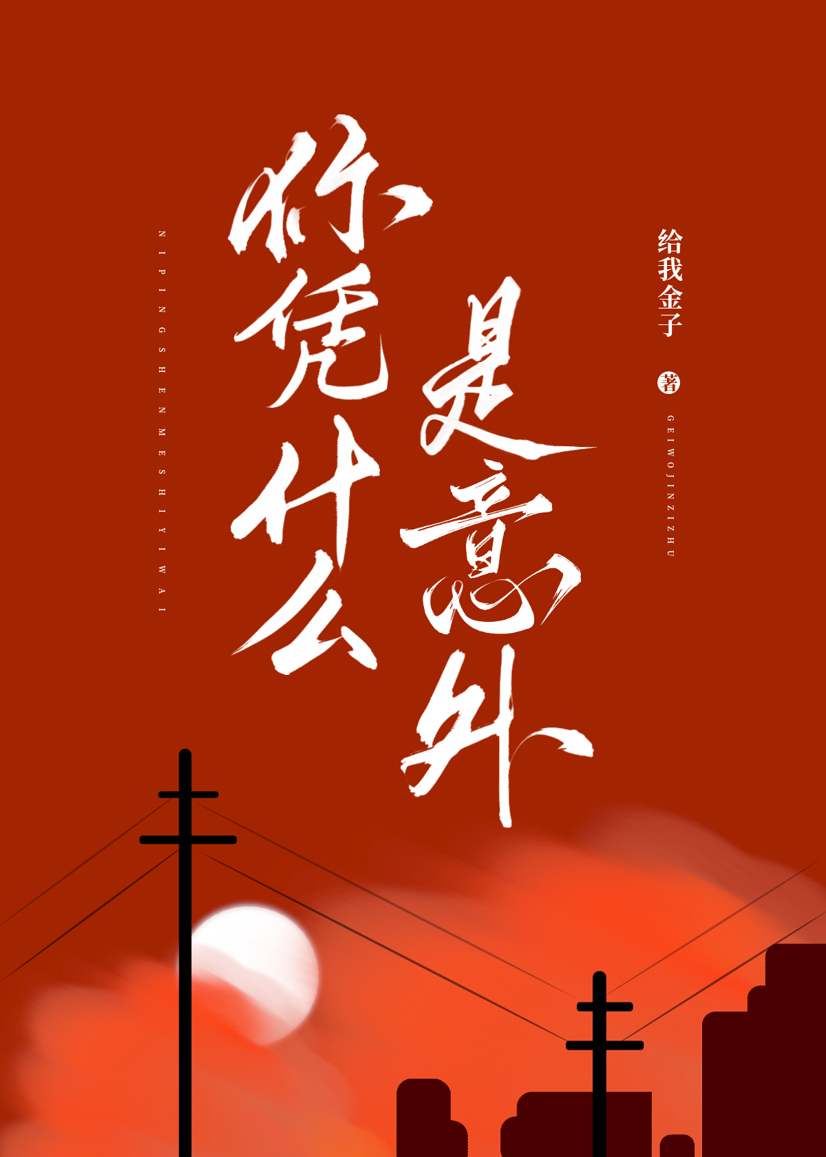 你是意外之外的意外怎么理解